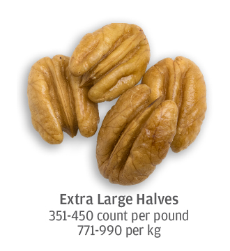 size comparison of extra large pecan halves, 771-990 pecans per kilogram