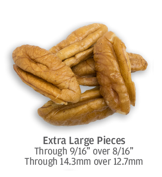 size comparison of extra large pecan pieces up to 14.3 millimeters in size
