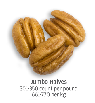 size comparison of jumbo pecan halves, 661-770 pecans per kilogram