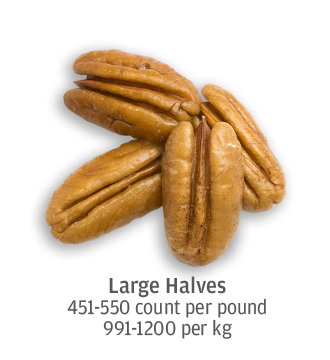size comparison of large pecan halves, 991-1200 pecans per kilogram